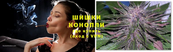 ПСИЛОЦИБИНОВЫЕ ГРИБЫ Арсеньев