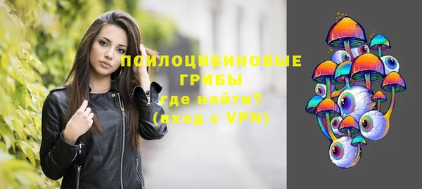 ПСИЛОЦИБИНОВЫЕ ГРИБЫ Арсеньев