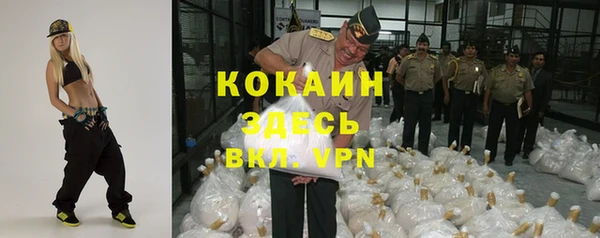 ПСИЛОЦИБИНОВЫЕ ГРИБЫ Арсеньев