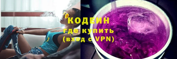 ПСИЛОЦИБИНОВЫЕ ГРИБЫ Арсеньев