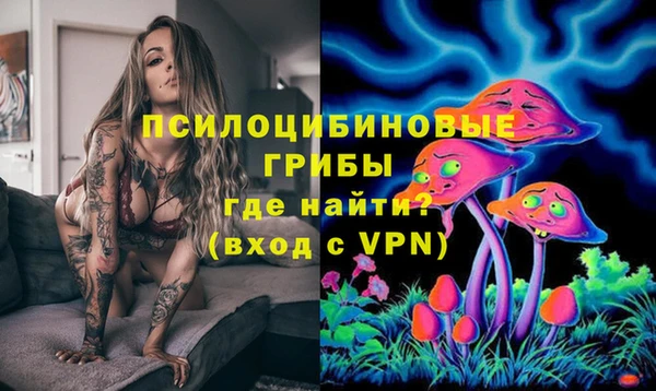 ПСИЛОЦИБИНОВЫЕ ГРИБЫ Арсеньев
