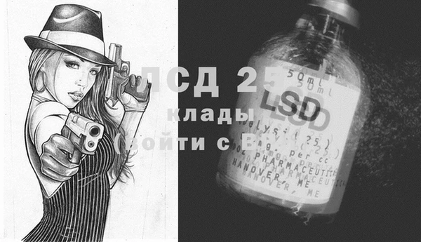 ПСИЛОЦИБИНОВЫЕ ГРИБЫ Арсеньев
