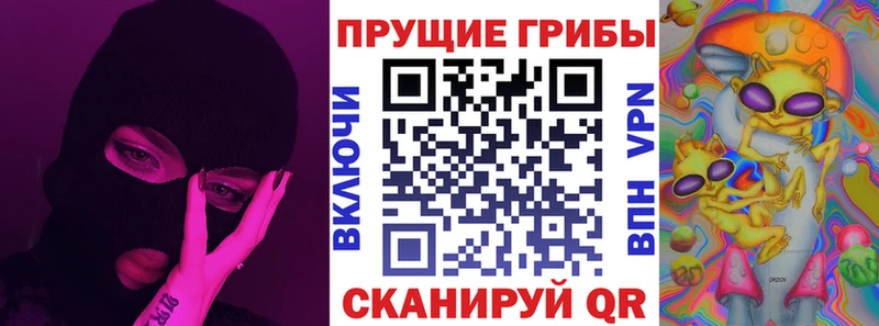 Псилоцибиновые грибы Psilocybine cubensis Лахденпохья